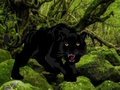 Trò chơi Thoát khỏi rừng Black Panther  trực tuyến