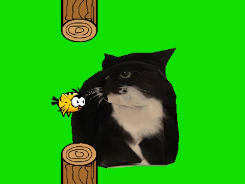 Trò chơi Flappy Bird quay OIA OIA CAT  trực tuyến