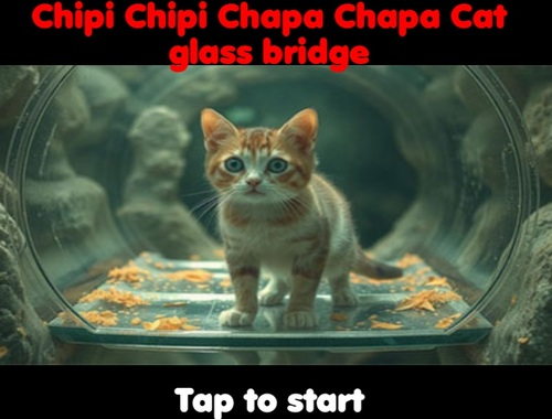 Trò chơi Chipi Chipi Chapa Chapa Cat Glass Bridge trực tuyến